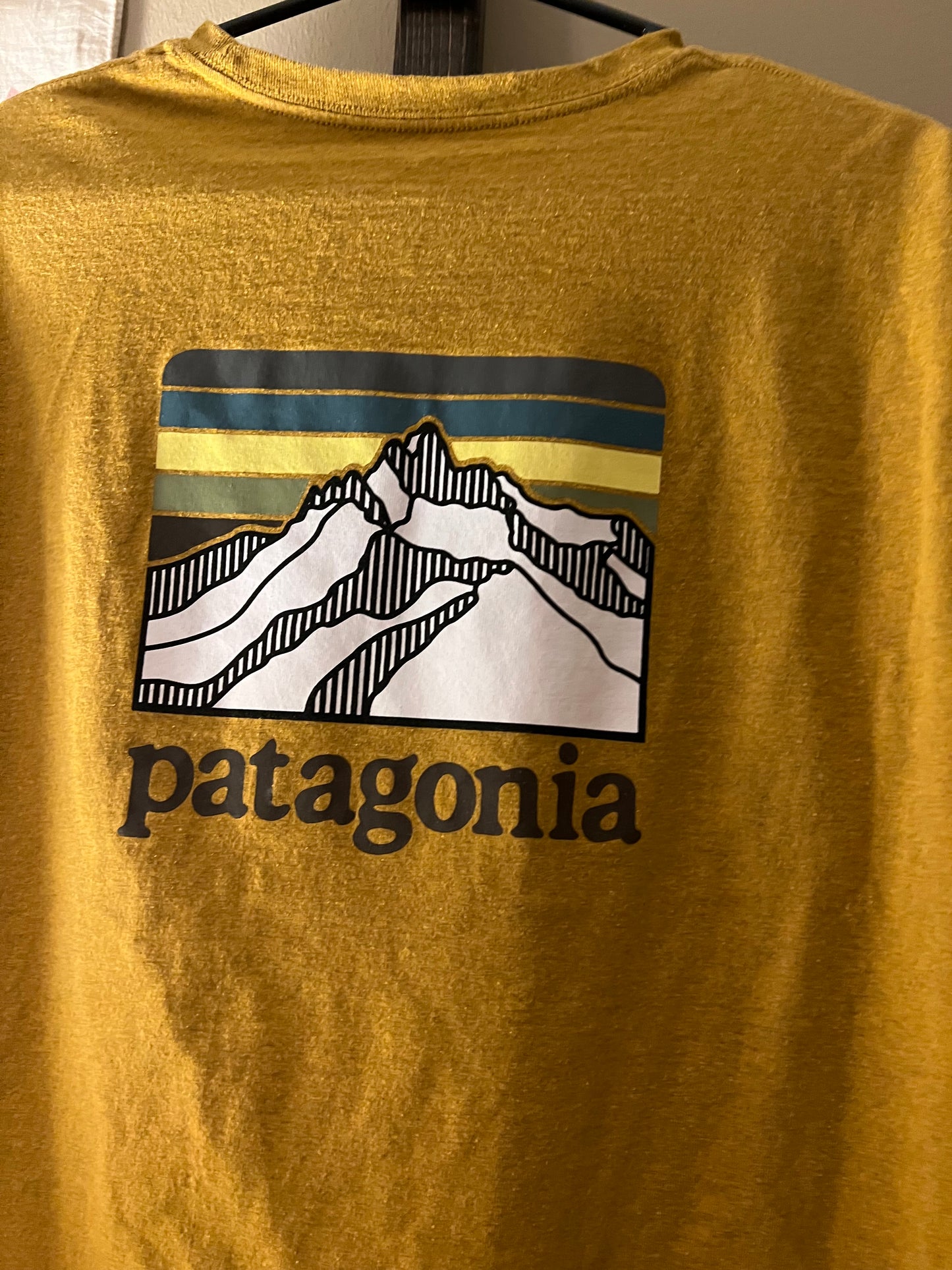 Men's Size XL Patagonia Graphic Tee