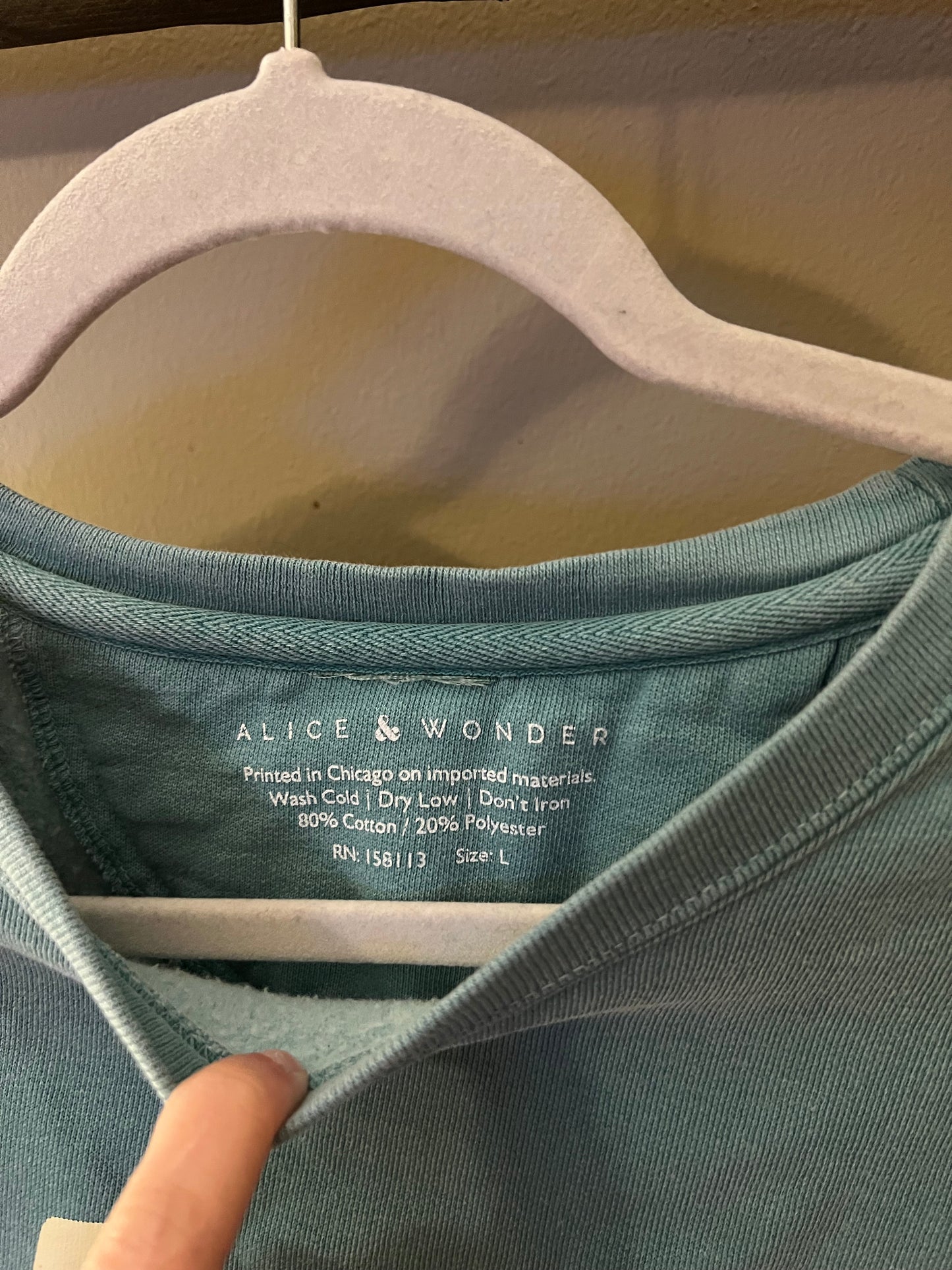 Size Large Alice & Wonder Slainte Crewneck