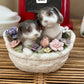 San Francisco Anna Rosa Collection Porcelain Music Box