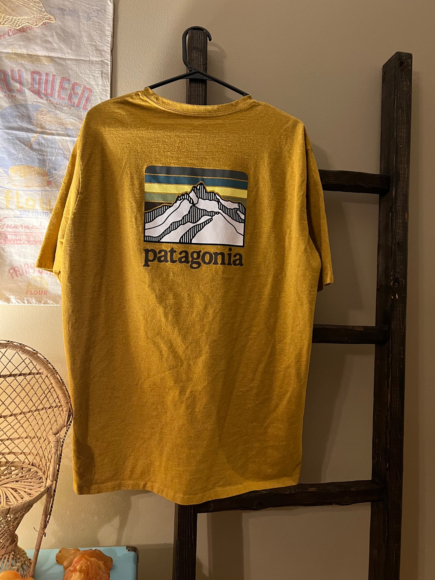 Men's Size XL Patagonia Graphic Tee