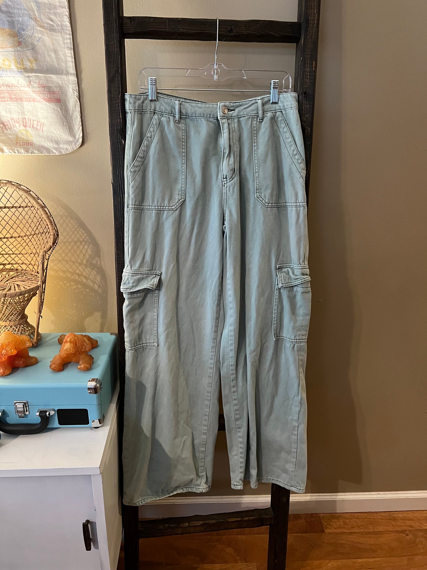 Size 30 Vervet Blue Green Cargo Pants