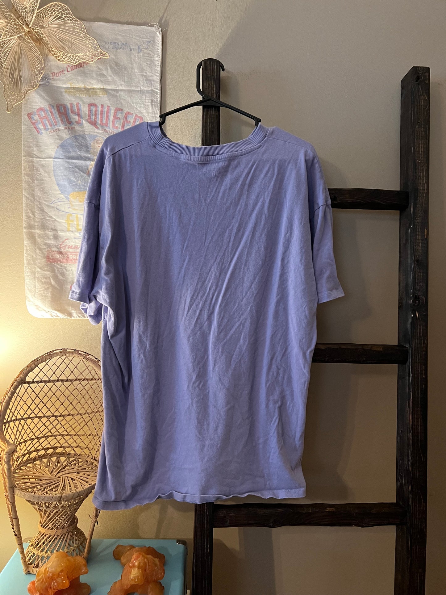 Size L/XL American Eagle Purple Graphic Tee
